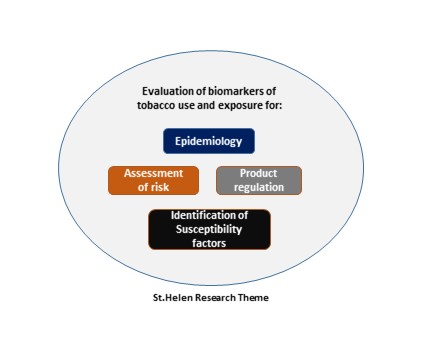 Research Themes Visual- information below